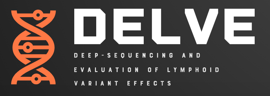 DELVE banner